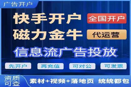 成功运用SEM服务实现品牌快速成长的案例